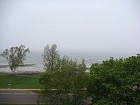 390 Memorial Day [2008 May 23]